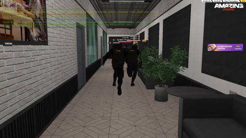 gallery53.jpg